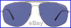 Tom Ford Aviator Sunglasses TF496 Georges 14V Ruthenium/Blue Horn FT0496